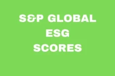 S&P Global ESG Scores