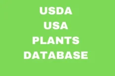 USDA USA PLANTS Database