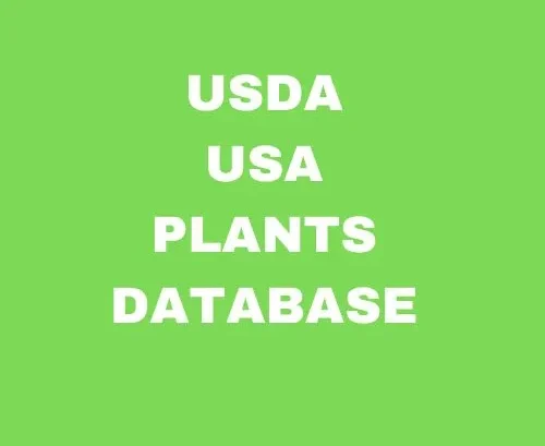 USDA USA PLANTS Database