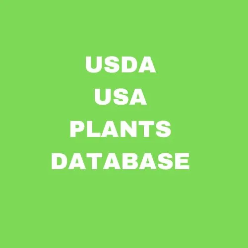 USDA USA PLANTS Database