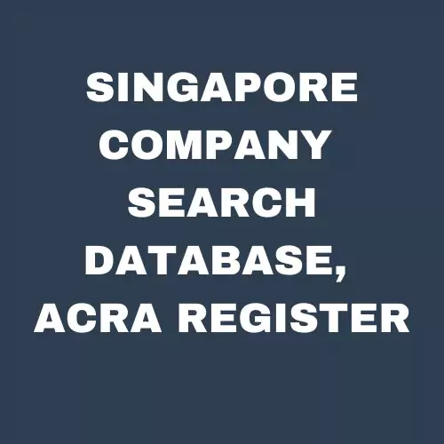 Singapore Company Search Database