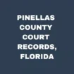 Pinellas County Court Records