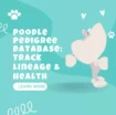 Poodle Pedigree Database – A Comprehensive Guide for Breeders and Owners