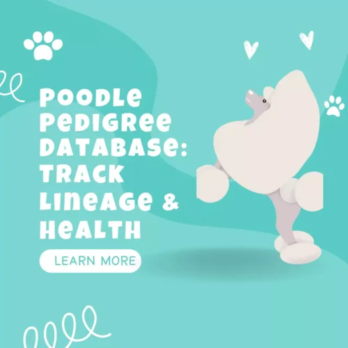 Poodle Pedigree Database – A Comprehensive Guide for Breeders and Owners