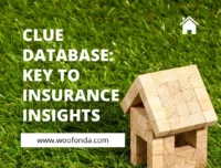 Why You Should Use the CLUE Database: A Comprehensive Guide to Its Benefits and Features