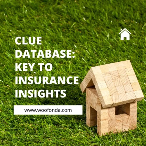 Why You Should Use the CLUE Database: A Comprehensive Guide to Its Benefits and Features