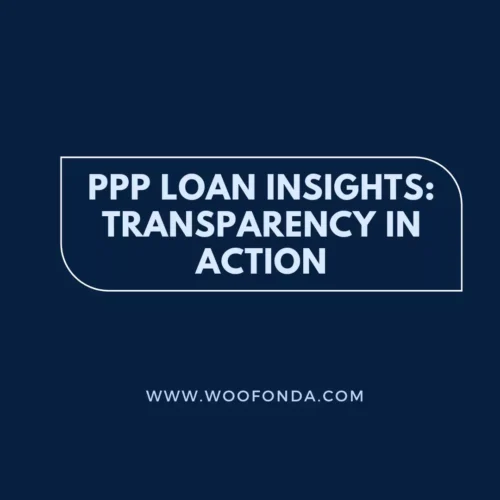 PPP Loan Insights: A graphic highlighting the importance of transparency in the PPP loan database.