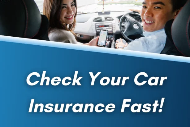 Car Insurance Databases: Everything You Need to Know to Stay Protected on the Road