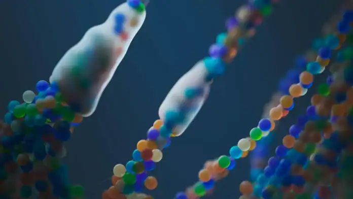 Visualization of DNA strands related to the Universal Y-SNP Database