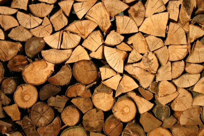 How to Use the Wood Database Filter Tool – illustration of hardwood log cross-sections