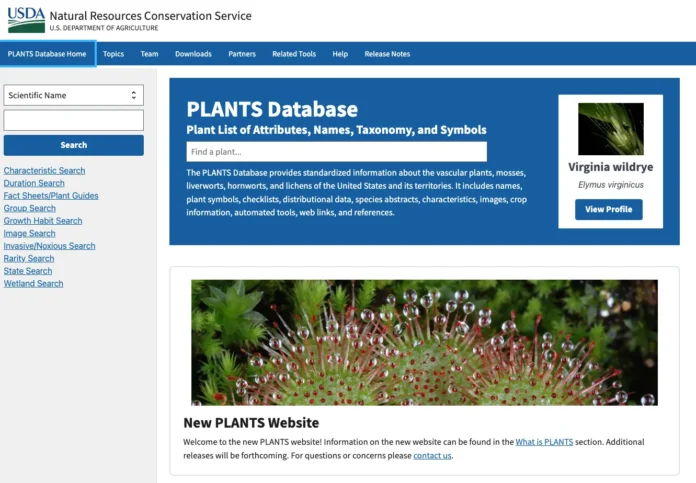 USDA PLANTS Database homepage showing the Scientific Name search box and the sidebar of specialized search tools